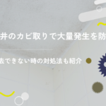 天井のカビ取りで大量発生を防止！除去できない時の対処法も紹介
