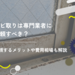 カビ取りは専門業者に依頼すべき？悩んだときのポイントを解説