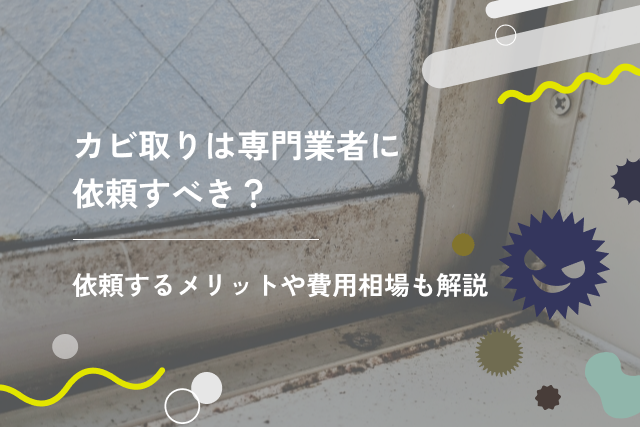 カビ取りは専門業者に依頼すべき？悩んだときのポイントを解説